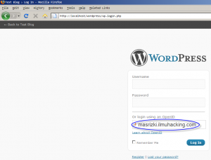 wordpress login page