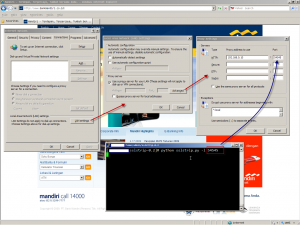 setting up SSLStrip as proxy in IE