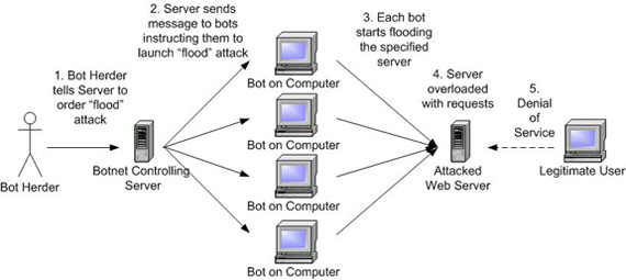 DDoS Botnet Attack